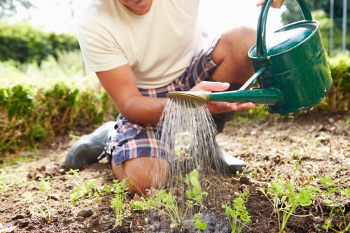 Garden maintenance activities in a serene temple setting